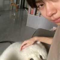 hafabva – avatarbillede