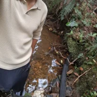 Viijoh's Profile Pic