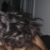 vik0300's Profile Pic