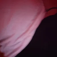 Letusmakeyoucum