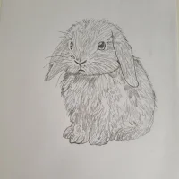 Bunny5_のアバター写真