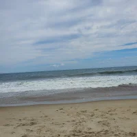 Аватар dovitank