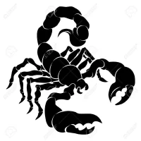 Yourcrazyball's Profile Pic