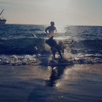 Gambar Profil Double-Trex