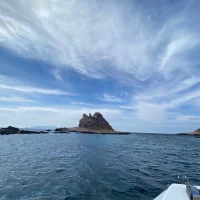 Gambar Profil Sicilianlemon