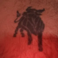 firemaxx-1976's Profilna slika