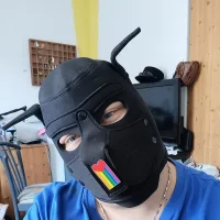 Gambar Profil Puppywaffles