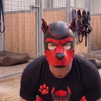 Doggy8969