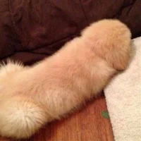 Jounpaul Avatar-Bild