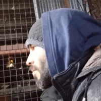 h36268's Profile Pic