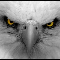 dillys88 아바타 사진