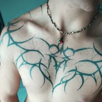 RedismyfavoriteColor's Profile Pic