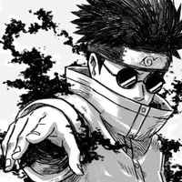 ZoNn-X01's Avatar Pic