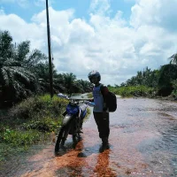 Sinaga01's Profile Pic