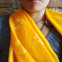 Sexyrini_sita