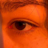 RiotKitten1 Gambar Avatar