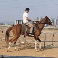 saonan_JJn Avatar kuva