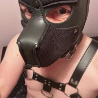 dildogame's Profile Pic