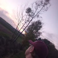 no_way_up avatarképe