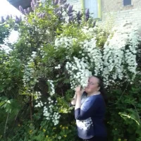 IrisSins's Profile Pic