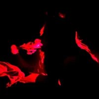 Smittenb3s Profilfoto