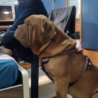 Shubhprit 的個人資料圖片