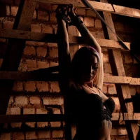 AriaSinner 的  個人資料圖片