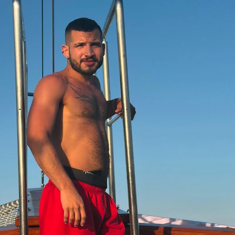 Elpeludodialectico profile photo