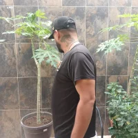 Prieto08's Profile Pic