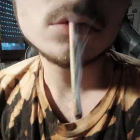 รูปโปรไฟล์ของ Purple_Flamingo