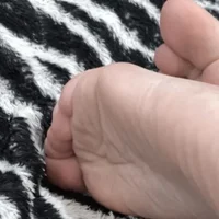 Elef_'s Profile Pic