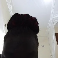 freakydaisy