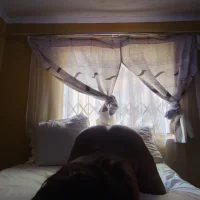 kaymochubbyhun20303's Profile Pic