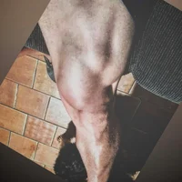 solteirosigiloso