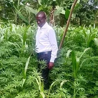 Bbbram's Avatar Pic