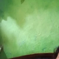 Royal_hotti0011 – avatarbillede