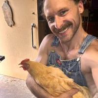 Tomtarheel