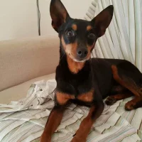 LucaLuc02563770 – Avatar fotka