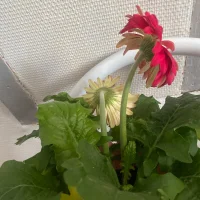 couplechill62