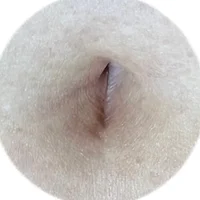 Imagem de avatar de 6olli9