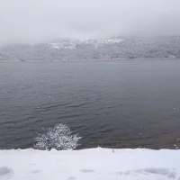 A-Y-A-R-S-I-Z Poză avatar