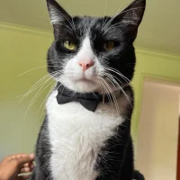 terry_02's Profile Pic