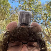 Eliotts_crays profilbillede