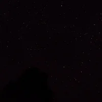 collaget33n's Profile Pic