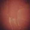 Sex Photo of MathewKelly02