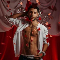 Gambar Avatar Thiagoferreti