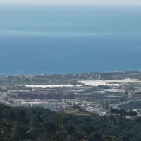 Foto do avatar de supersaiyandios