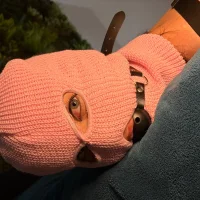 BabyFoxy1's Profile Pic