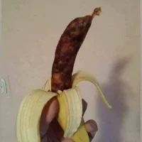 66MA69's Avatar Photo