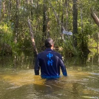 reipromiscuo01 avatarképe